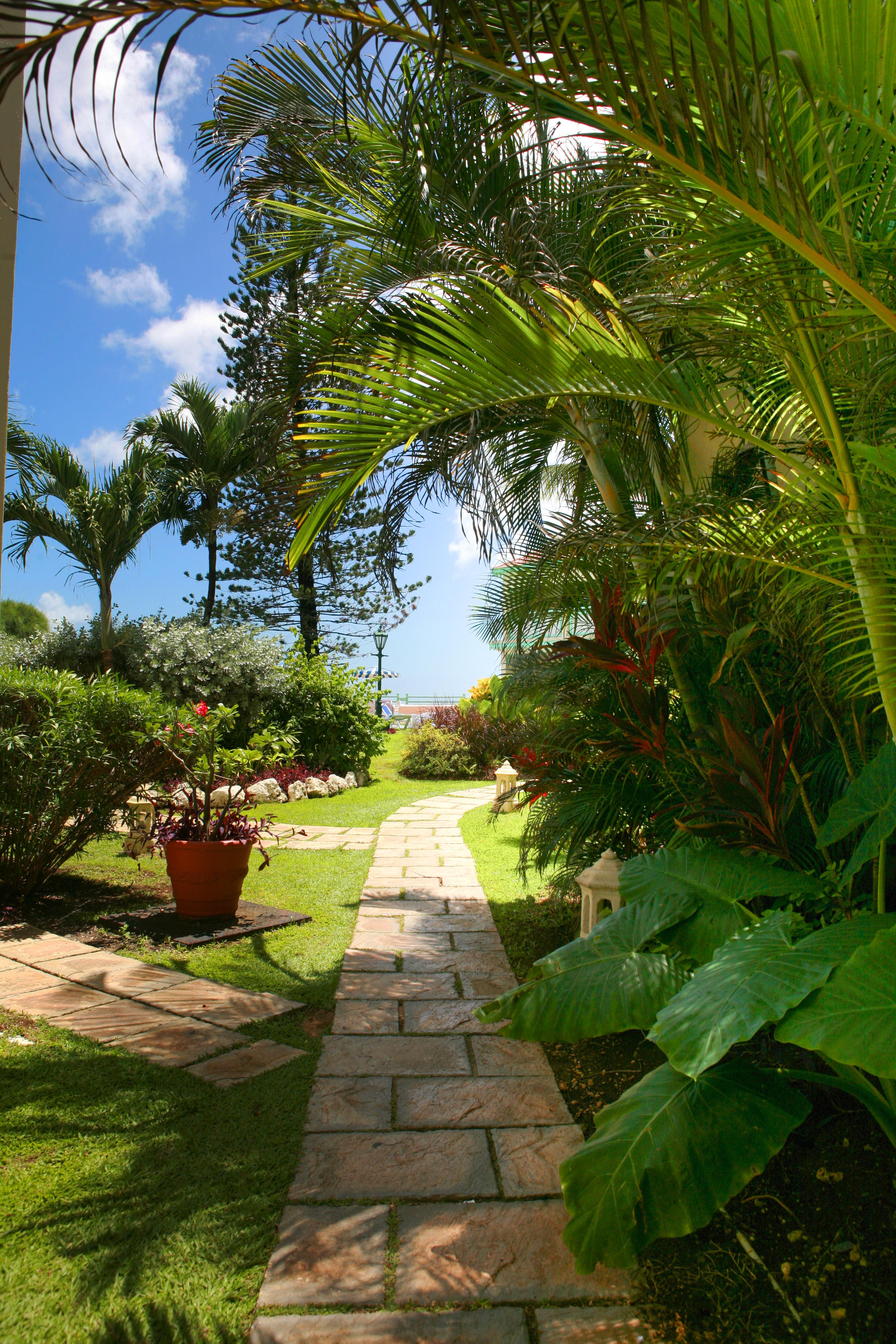 Blue Orchids Beach Hotel Μπριτζτάουν Εξωτερικό φωτογραφία